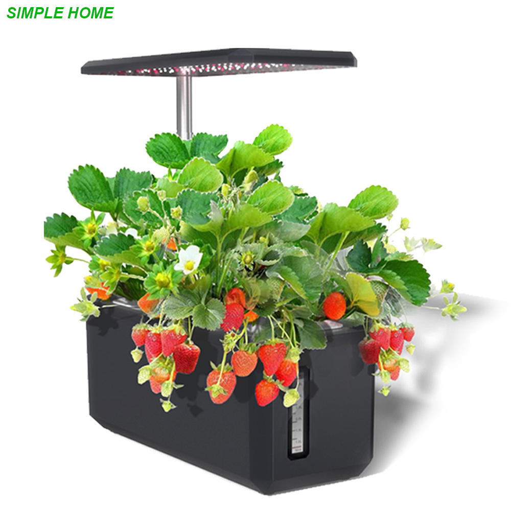 Smart Garden Nursery - Hydroponics Growing System With Indoor Plant
