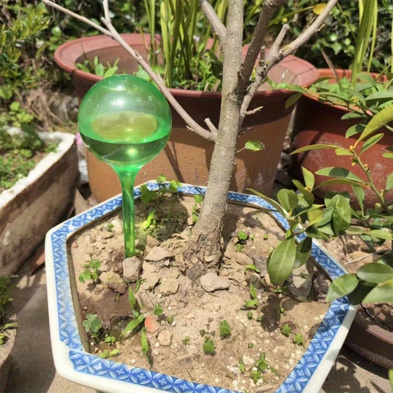 6PCS Indoor Plants Self Wateri - Smart Garden Technology review and price