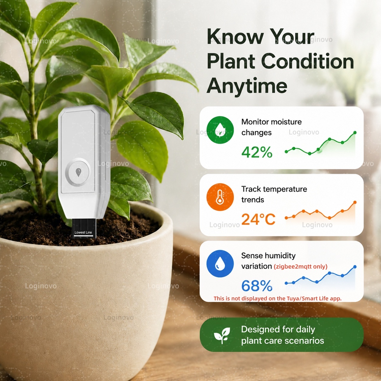 TUYA Zigbee Soil Tester Moistu - Smart Garden Home Assistant review and price