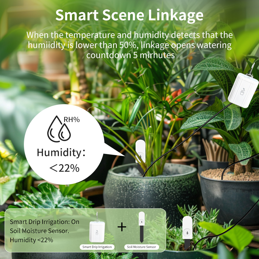 Smart Zigbee 3.0 Soil Tester H - Smart Garden Home Assistant review and price