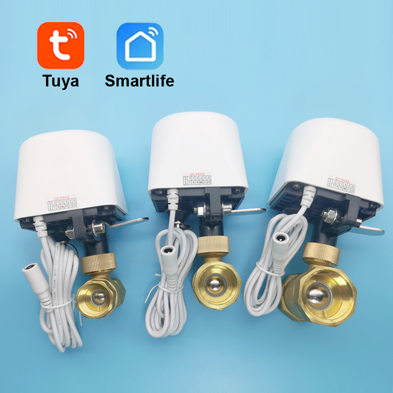 Wifi  Zigbee Tuya Water Valve  - Smart Garden Home Assistant review and price