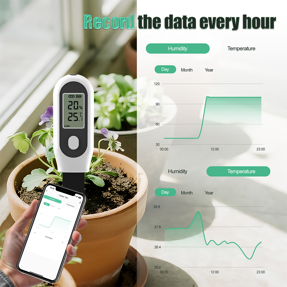 Tuya Zigbee 3 in 1 Soil Temper - Smart Garden Home Assistant review and price